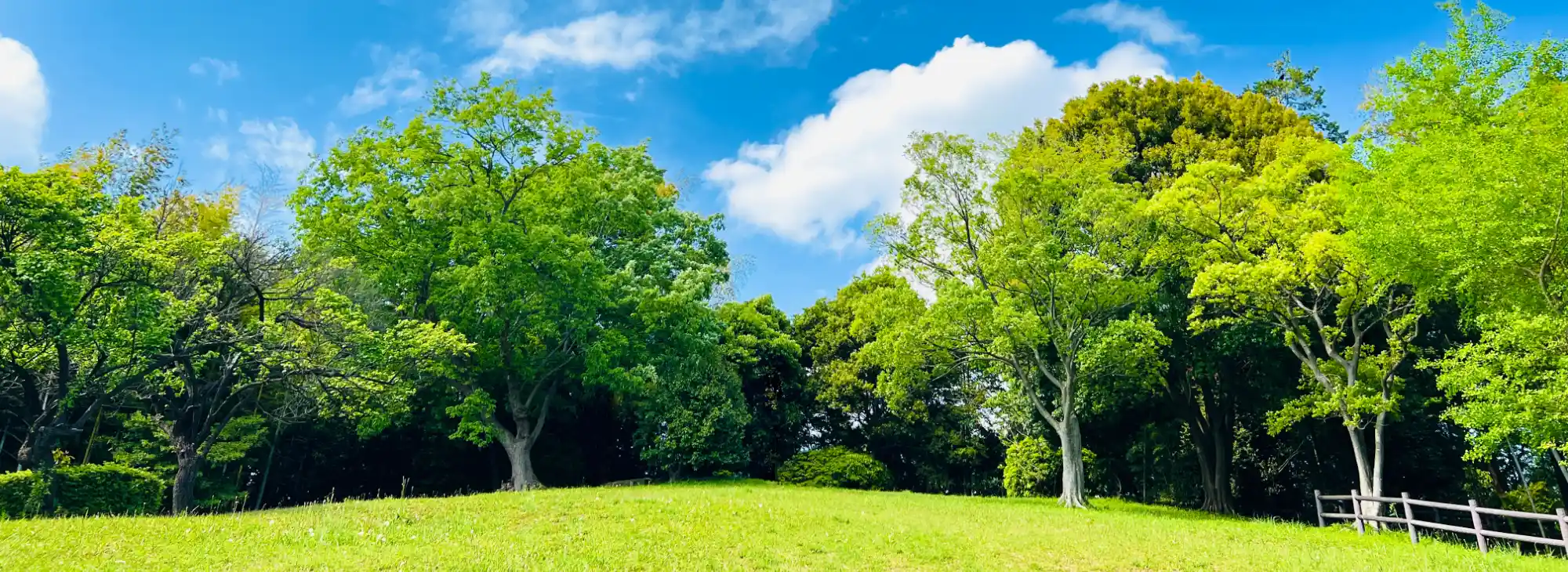 上飯田ねむの木こころクリニック